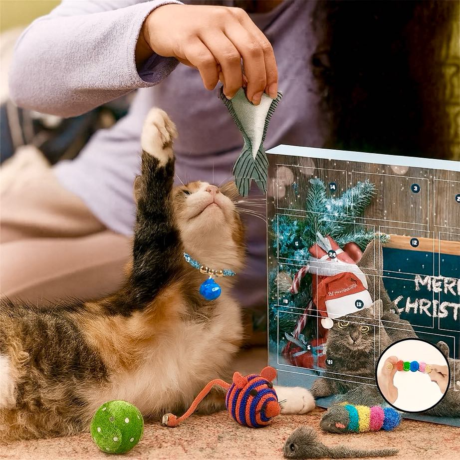 Christmas Cat Advent Calendar 2025