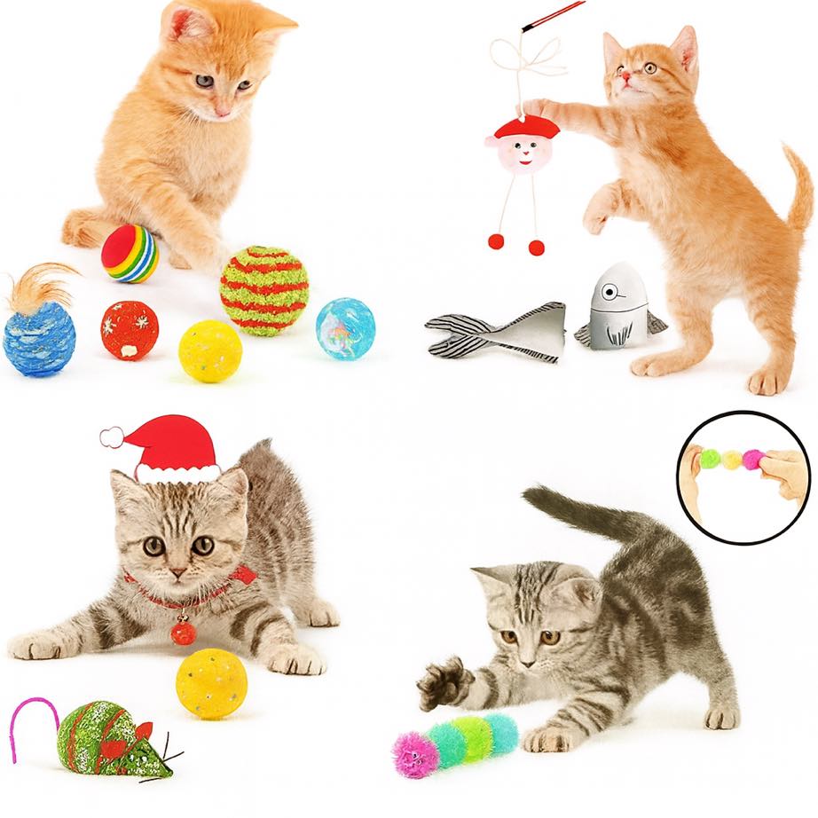 Christmas Cat Advent Calendar 2025